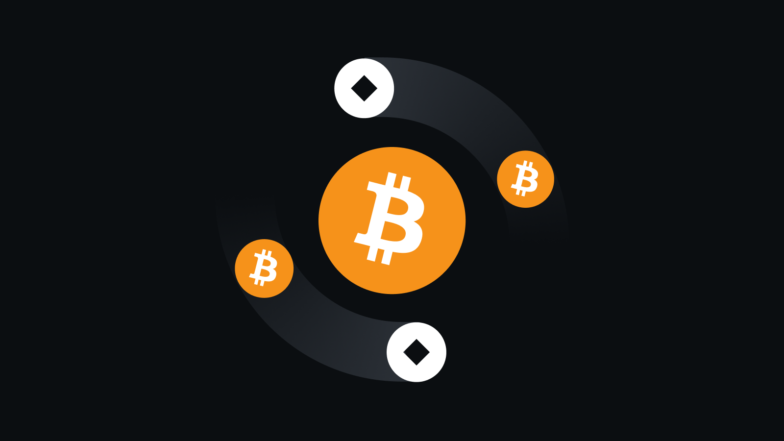 BNBApp官方正版下载